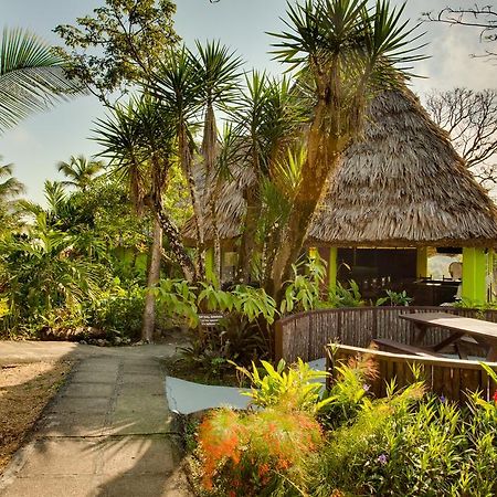 Windy Hill Resort San Ignacio Eksteriør billede