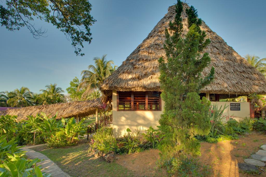 Windy Hill Resort San Ignacio Eksteriør billede