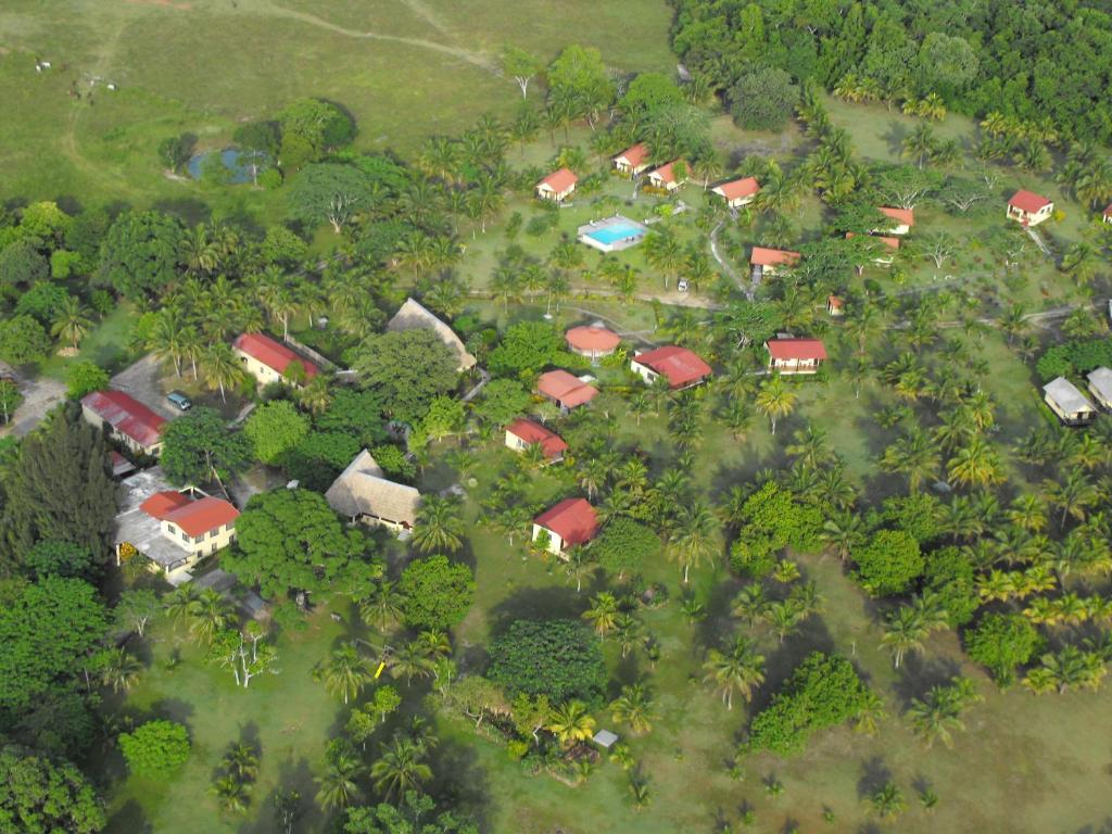 Windy Hill Resort San Ignacio Eksteriør billede