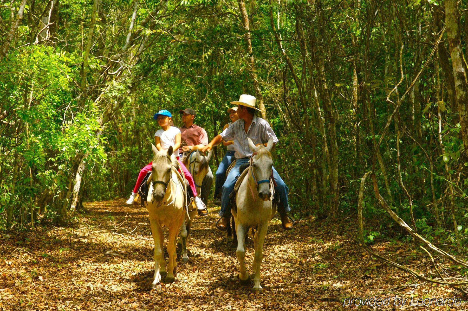 Windy Hill Resort San Ignacio Eksteriør billede