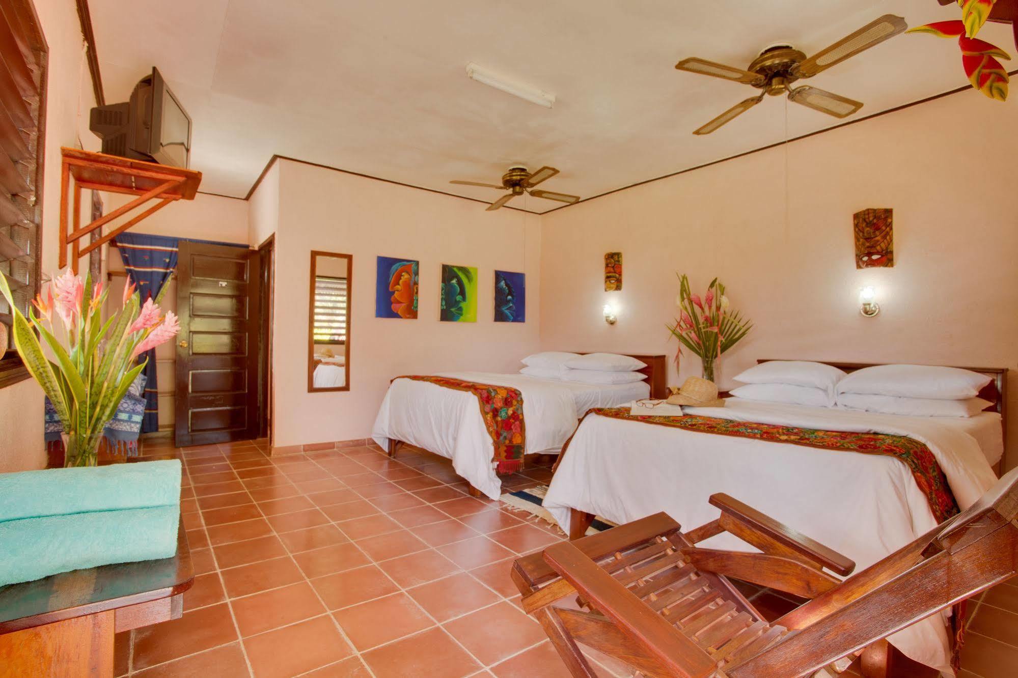 Windy Hill Resort San Ignacio Eksteriør billede